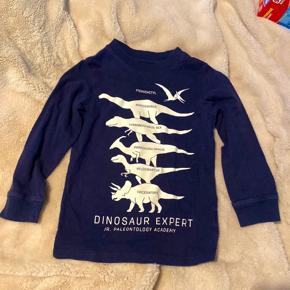 Glow in the dark Dino shirt